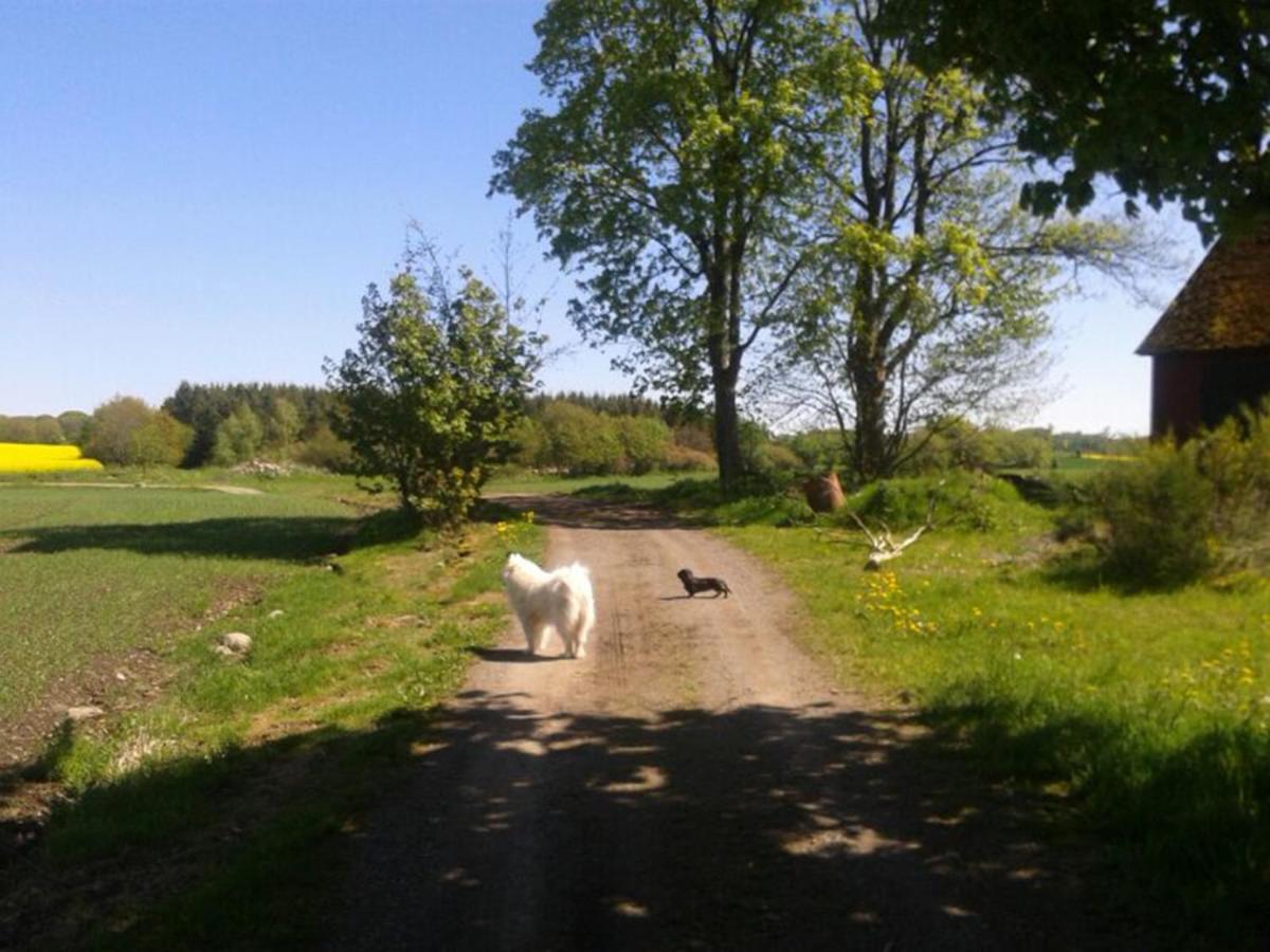 Stora Topphem Skåne-Tranås Exterior foto